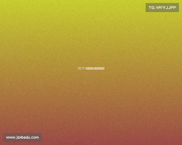 2017 赛事志愿者;大型赛事志愿者